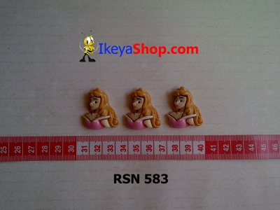 rsn 583  large2